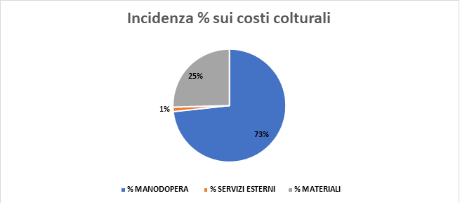 Grafico 1. Incidenza costi colturali cipolla di Margherita IGP – da seme - Pre innovazioni 