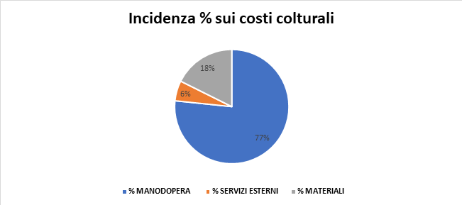 Grafico 3. Incidenza costi colturali cipolla di Margherita IGP – da semenzaio - Pre innovazioni 