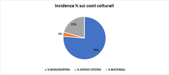 Grafico 5. Incidenza costi colturali cipolla di Margherita IGP – da consumo fresco - Pre innovazioni 